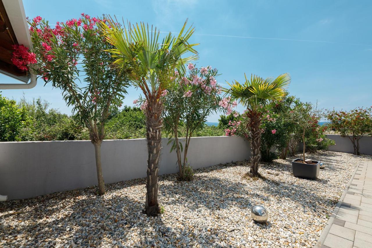 Malo Ferienvilla Privlaka, Pool, Boje, Wi-Fi, Wallbox ปริฟลากา ภายนอก รูปภาพ